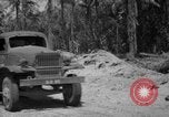 Image of Torokina Air Strip Bougainville Island Papua New Guinea, 1943, second 22 stock footage video 65675067449