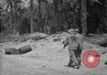Image of Torokina Air Strip Bougainville Island Papua New Guinea, 1943, second 24 stock footage video 65675067449
