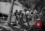 Image of Royal New Zealand Air Force on Torokina Air Strip Bougainville Island Papua New Guinea, 1944, second 6 stock footage video 65675067450