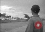 Image of Royal New Zealand Air Force on Torokina Air Strip Bougainville Island Papua New Guinea, 1944, second 41 stock footage video 65675067450