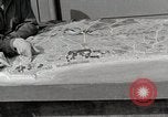 Standbild Anzio Anlandungen Anzio Italien, 1944, aus Sekunde 23 historischem Filmmaterial Videoclip 65675067463