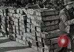 Image of Anzio landings Anzio Italy, 1944, second 16 stock footage video 65675067466
