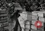 Image of Anzio landings Anzio Italy, 1944, second 21 stock footage video 65675067466