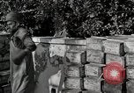 Image of Anzio landings Anzio Italy, 1944, second 23 stock footage video 65675067466