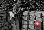 Image of Anzio landings Anzio Italy, 1944, second 25 stock footage video 65675067466