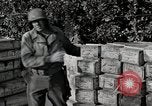 Image of Anzio landings Anzio Italy, 1944, second 26 stock footage video 65675067466