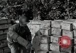 Image of Anzio landings Anzio Italy, 1944, second 28 stock footage video 65675067466