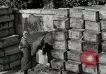 Image of Anzio landings Anzio Italy, 1944, second 29 stock footage video 65675067466