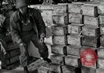 Image of Anzio landings Anzio Italy, 1944, second 30 stock footage video 65675067466