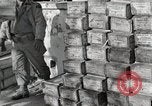 Image of Anzio landings Anzio Italy, 1944, second 36 stock footage video 65675067466