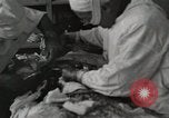 Image of Anzio landings Anzio Italy, 1944, second 14 stock footage video 65675067467