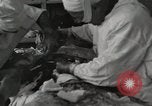 Image of Anzio landings Anzio Italy, 1944, second 16 stock footage video 65675067467