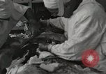 Image of Anzio landings Anzio Italy, 1944, second 17 stock footage video 65675067467