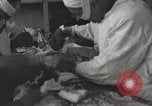 Image of Anzio landings Anzio Italy, 1944, second 20 stock footage video 65675067467
