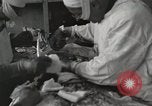 Image of Anzio landings Anzio Italy, 1944, second 21 stock footage video 65675067467