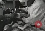 Image of Anzio landings Anzio Italy, 1944, second 22 stock footage video 65675067467