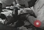 Image of Anzio landings Anzio Italy, 1944, second 30 stock footage video 65675067467