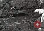 Image of Anzio landings Anzio Italy, 1944, second 39 stock footage video 65675067471
