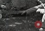 Image of Anzio landings Anzio Italy, 1944, second 40 stock footage video 65675067471