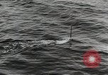 Image of war activities Soviet Union, 1943, second 53 stock footage video 65675067475