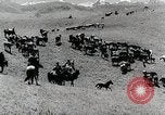 Standbild farm Aktivitäten Kasachstan Sowjetunion, 1943, aus Sekunde 9 historischem Filmmaterial Videoclip 65675067478