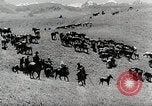 Standbild farm Aktivitäten Kasachstan Sowjetunion, 1943, aus Sekunde 11 historischem Filmmaterial Videoclip 65675067478
