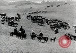 Standbild farm Aktivitäten Kasachstan Sowjetunion, 1943, aus Sekunde 12 historischem Filmmaterial Videoclip 65675067478