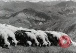 Standbild farm Aktivitäten Kasachstan Sowjetunion, 1943, aus Sekunde 29 historischem Filmmaterial Videoclip 65675067478