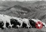Standbild farm Aktivitäten Kasachstan Sowjetunion, 1943, aus Sekunde 30 historischem Filmmaterial Videoclip 65675067478
