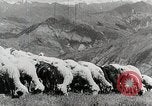 Standbild farm Aktivitäten Kasachstan Sowjetunion, 1943, aus Sekunde 31 historischem Filmmaterial Videoclip 65675067478