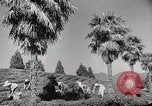 Standbild farm Aktivitäten Kasachstan Sowjetunion, 1943, aus Sekunde 44 historischem Filmmaterial Videoclip 65675067478