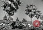 Standbild farm Aktivitäten Kasachstan Sowjetunion, 1943, aus Sekunde 45 historischem Filmmaterial Videoclip 65675067478