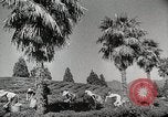 Standbild farm Aktivitäten Kasachstan Sowjetunion, 1943, aus Sekunde 46 historischem Filmmaterial Videoclip 65675067478