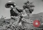 Standbild farm Aktivitäten Kasachstan Sowjetunion, 1943, aus Sekunde 50 historischem Filmmaterial Videoclip 65675067478