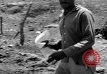 Image des dépliants République dominicaine, 1965, de la seconde 37 séquences d'archives historiques vidéo 65675067483