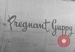 Image enceinte Guppy California United States USA, 1965, de la seconde 61 séquences d'archives historiques vidéo 65675067487