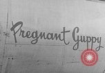 Image enceinte Guppy California United States USA, 1965, de la seconde 62 séquences d'archives historiques vidéo 65675067487