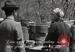Immagine di Cittadini sala pubblica Yanaizu Giappone, 1950, secondo 52 filmato di repertorio 65675067527
