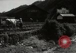 Standbild japanische Farm Sugata Präfektur Gifu Japan, 1950, aus Sekunde 5 historischem Filmmaterial Videoclip 65675067530