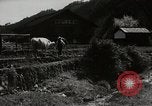 Standbild japanische Farm Sugata Präfektur Gifu Japan, 1950, aus Sekunde 7 historischem Filmmaterial Videoclip 65675067530
