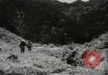 Standbild japanische Farm Sugata Präfektur Gifu Japan, 1950, aus Sekunde 15 historischem Filmmaterial Videoclip 65675067530