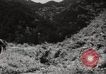 Standbild japanische Farm Sugata Präfektur Gifu Japan, 1950, aus Sekunde 16 historischem Filmmaterial Videoclip 65675067530