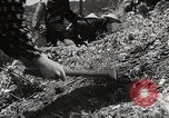 Standbild japanische Farm Sugata Präfektur Gifu Japan, 1950, aus Sekunde 28 historischem Filmmaterial Videoclip 65675067530