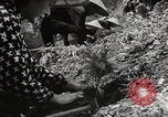 Standbild japanische Farm Sugata Präfektur Gifu Japan, 1950, aus Sekunde 30 historischem Filmmaterial Videoclip 65675067530