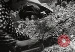 Standbild japanische Farm Sugata Präfektur Gifu Japan, 1950, aus Sekunde 34 historischem Filmmaterial Videoclip 65675067530