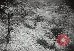 Standbild japanische Farm Sugata Präfektur Gifu Japan, 1950, aus Sekunde 39 historischem Filmmaterial Videoclip 65675067530