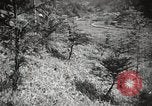Standbild japanische Farm Sugata Präfektur Gifu Japan, 1950, aus Sekunde 40 historischem Filmmaterial Videoclip 65675067530