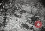 Standbild japanische Farm Sugata Präfektur Gifu Japan, 1950, aus Sekunde 42 historischem Filmmaterial Videoclip 65675067530