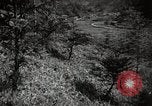 Standbild japanische Farm Sugata Präfektur Gifu Japan, 1950, aus Sekunde 43 historischem Filmmaterial Videoclip 65675067530