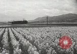 Standbild der Bürger öffentliche Halle Präfektur Fukuoka Kyushu Island Japan, 1950, aus Sekunde 4 historischem Filmmaterial Videoclip 65675067534